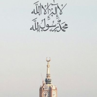 1LNbajKjtXGphQy's profile picture. 