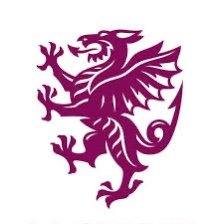 SomersetNorth62's profile picture. The official Twitter account of the Somerset CCC blog. Co-host of The Somerset Podcast Alleged alter-ego of @stevetancock62