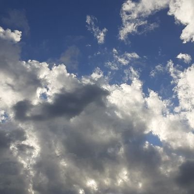 ささんのプロフィール画像