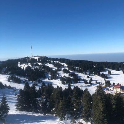 janna3li's profile picture. 