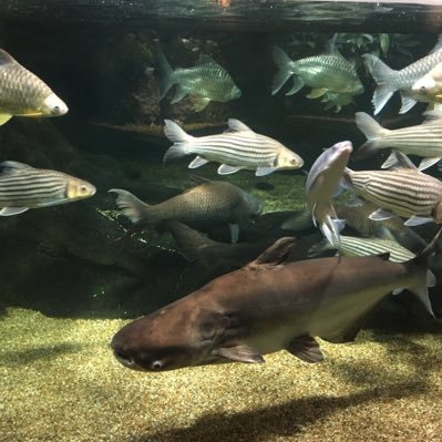 kaz_iroiro1's profile picture. 物販ビジネス