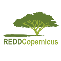 REDDCopernicus(@REDD_Copernicus) 's Twitter Profile Photo