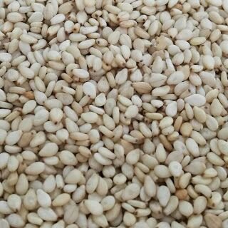 Ethiopian Organic Pulses  and Oilseeds Exporter. You welcome for business deals!