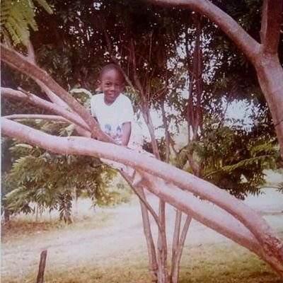 alamazetu's profile picture. I art 4 food
I tattoo, I paint but mos important...I cartoon
l’art pour l’art

/seer/prophet/
Man plans🤓, God laughs🤣