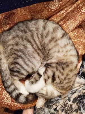 HNN1rwp3o3vd4fa's profile picture. 白河市/釣り/ラーメン/メタボ/楽天