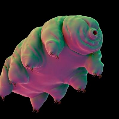 Actually a socialist water bear. Able to survive the frozen depths of outer space and the blast furnace that is Twitter.