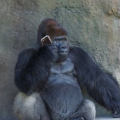 asapuraaa's profile picture. どぶさらいからM&Aまで