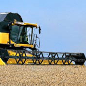 GrowBio's profile picture. Father, husband, son, no-till #farmer. I like to put the lowest possible input cost into the land and let nature and #soil do the rest.