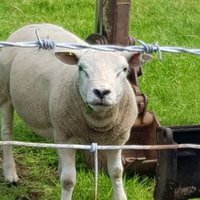 Andrew Old (@oldandrewuk) 's Twitter Profile