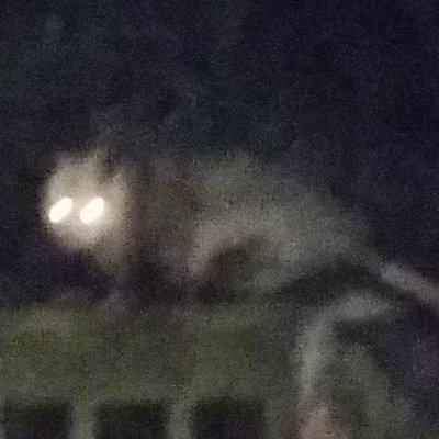 coxj2000's profile picture. "I have no bio"