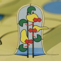 Mick lab (@micklab) 's Twitter Profile Photo Mick lab (@micklab) 's Twitter Profile Photo