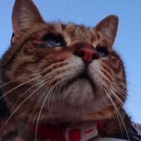 yujijitan (@yujijitan) 's Twitter Profile Photo