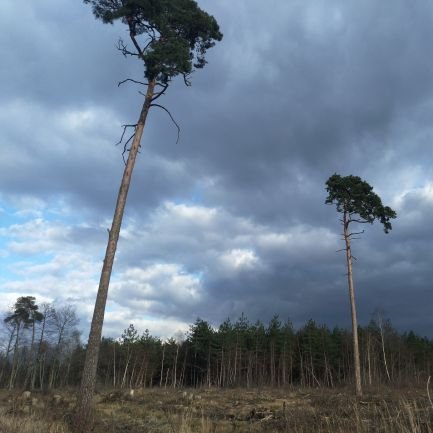 fabtel78's profile picture. 