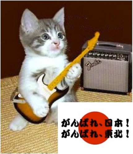 好きなもの：Rock、iMac、iPhone、iPad、、BOSE、HONDA、Canon