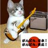 harahito's profile picture. 好きなもの：Rock、iMac、iPhone、iPad、、BOSE、HONDA、Canon