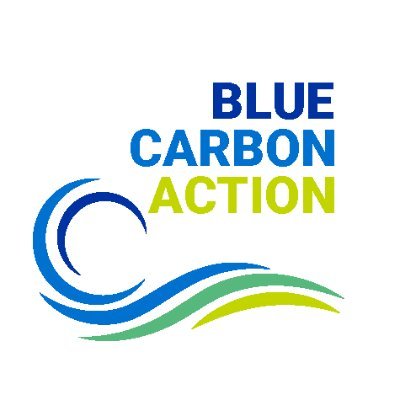 blueCO2action's profile picture. Fixing carbon to address climate change through restoration of coastal and marine ecosystems. Saltmarsh, seagrass meadows, kelp forests, mangroves, coral reefs.