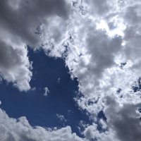 青空 (@oj2o0dodm2yddr1) 's Twitter Profile