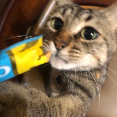 pandasmile___'s profile picture. 