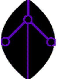 adeptustech's profile picture. ATP specializes in system maintenance, computer security, and data backup solutions.