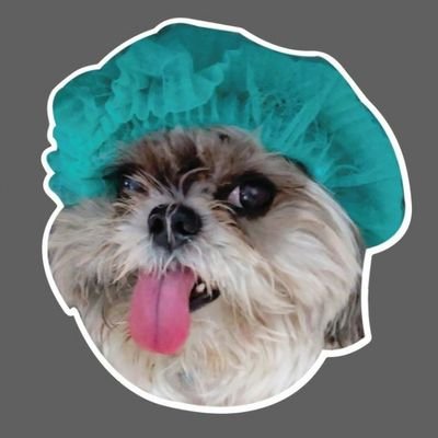 stellangeline's profile picture. 