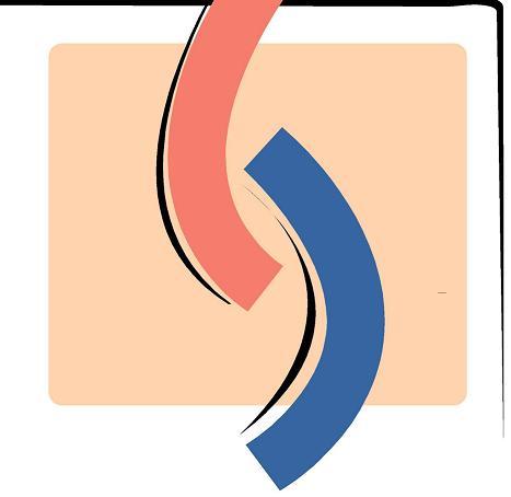 Instituut voor huidverbetering|Allround Schoonheidsspecialiste|Acne|Bindweefselmassage|T-AWAY|Dermaroller|Shiatsu /Elze-marie.nl