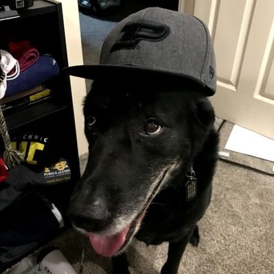 NobleThomR6's profile picture. I self-identify as an A-10 Warthog. 
pronouns: Nick/Ga
Liberty, Guns, Booze, Tits