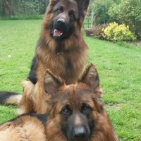 Tim R (@tim_r7) 's Twitter Profile