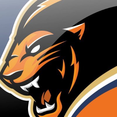 The Official Twitter account of the Uni-President 7-Eleven Lions, the CPBL team from Tainan, Taiwan.
