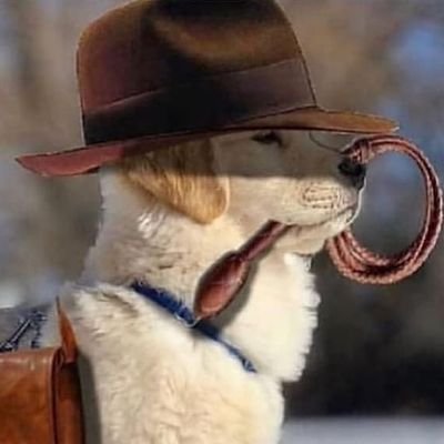 onlycartman's profile picture. *Cart*