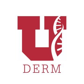 Dedicated to producing clinically excellent dermatologists
