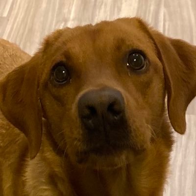 ithacaboom's profile picture. general commentary on everything