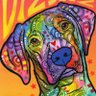 staysafeplez's profile picture. Vizsla dog owner and love her!