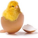 audrey hantz - @ah39 - Twitter