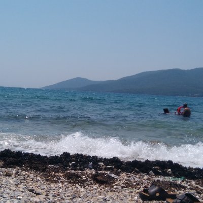 Aslan20151's profile picture. Cesur