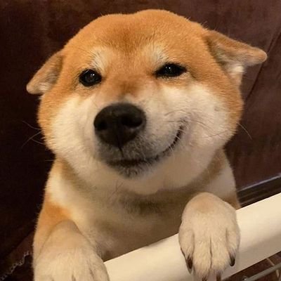 deli93717625's profile picture. 