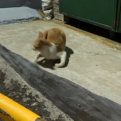 kindjiyun's profile picture. 삶을 되찾자 / #폴리아모리, #젠더리스 /플텍계 제외 FUB /open.kakao.com/o/sObiFRrb