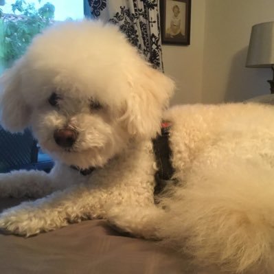 currier_janice's profile picture. 