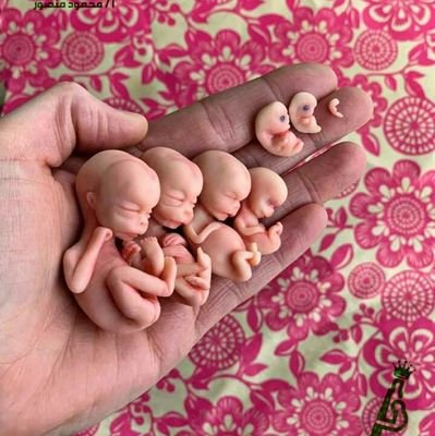 HamzaHa66750173's profile picture. Good morning