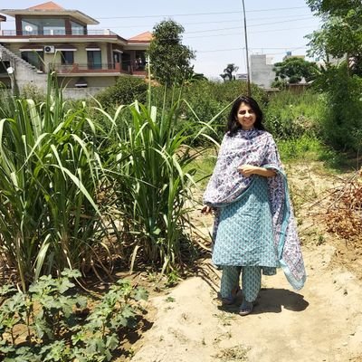 former nerd& feminist, currently a(social) conformist. ingenuous, blunt, insecure, 99% devil's advocate,rambler, ultra sensitive self-absorbed sanitary napkin