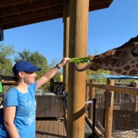 Brittany Holom-Trundy, Ph.D. (@bholom11) 's Twitter Profile