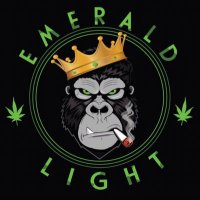 Emerald Light(@EmeraldLightCA) 's Twitter Profile Photo