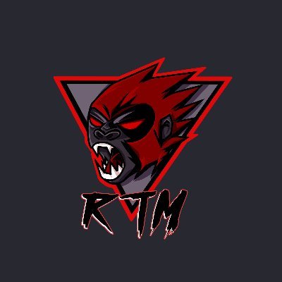 Rhythm Esports  |  Small Time org looking to Recruit upcoming talents in Esports  |  Competing in: CS:GO, and Fortnite