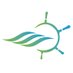 CITCA Suncruise (@citcasuncruise) Twitter profile photo CITCA Suncruise (@citcasuncruise) Twitter profile photo