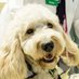 Emory/Children’s PICU Fellows (@emorypedsicu) Twitter profile photo Emory/Children’s PICU Fellows (@emorypedsicu) Twitter profile photo