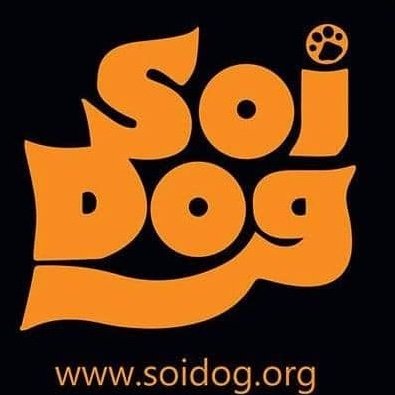 soidogusa Profile Picture