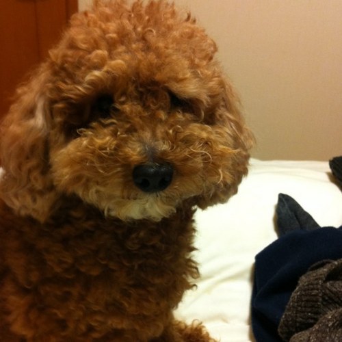 fbqkm's profile picture. 