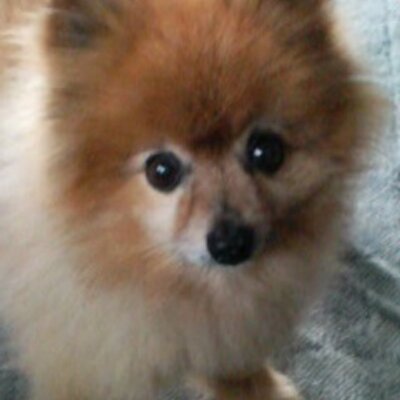 青木 悠太 Yuuta2811 Twitter 青木 悠太 Yuuta2811 Twitter