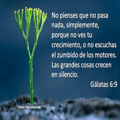 Comerciante Broker en temas inmobiliario con un diplomado en Administración en Condominio. Creyente en Dios. Amante de la naturaleza.