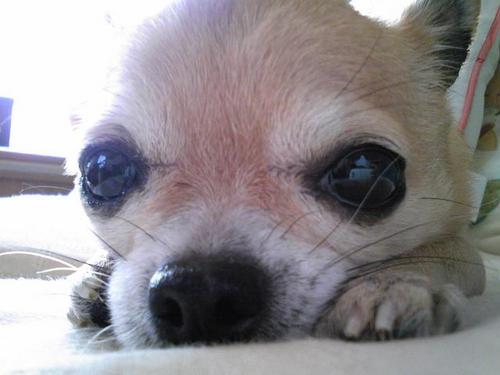 hontonikai's profile picture. Enjoy peace every day!　(^^♪