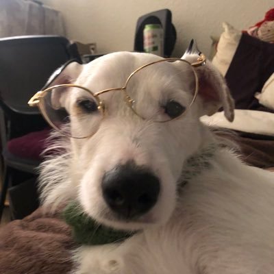 tim2turnt's profile picture. do you ever just